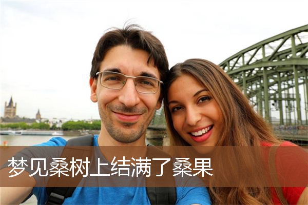 梦见桑树上结满了桑果是什么意思