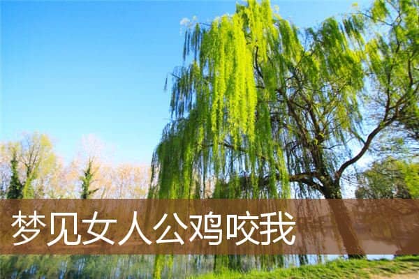 梦见女人公鸡咬我是什么意思