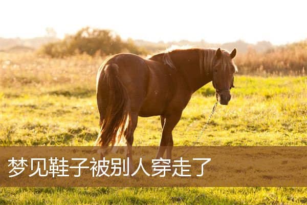 梦见鞋子被别人穿走了是什么意思