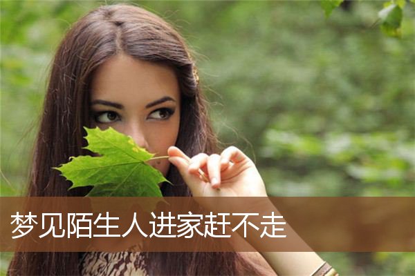 梦见陌生人进家赶不走是什么意思