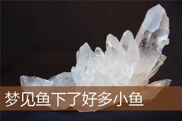 梦见鱼下了好多小鱼是什么意思