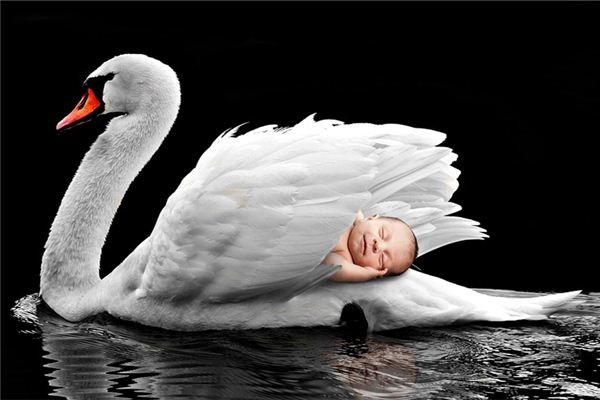 梦见宝宝掉水里又被救起是什么意思