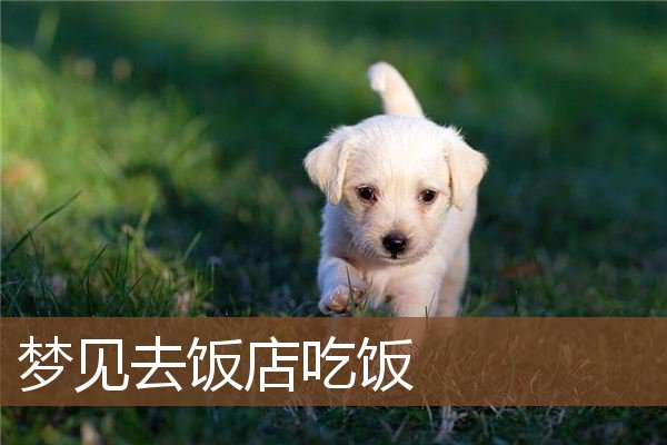 梦见去饭店吃饭是什么意思