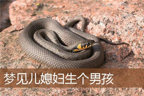 梦见儿媳妇生个男孩是什么意思