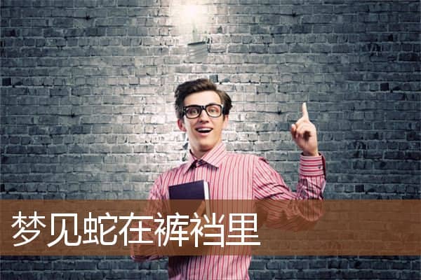 梦见蛇在裤裆里是什么意思