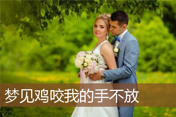 梦见鸡咬我的手不放是什么意思