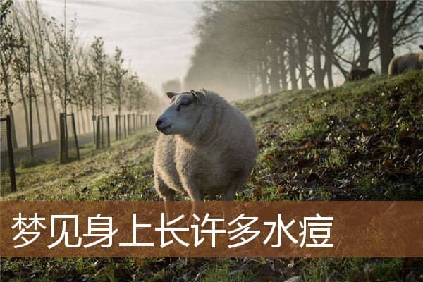 梦见身上长许多水痘是什么意思