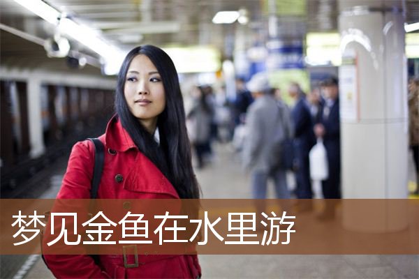 梦见金鱼在水里游是什么意思