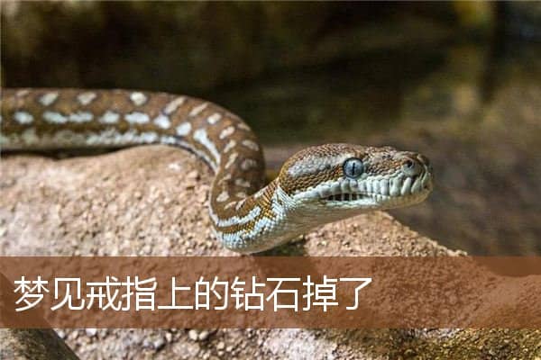 戒指上的钻石掉了