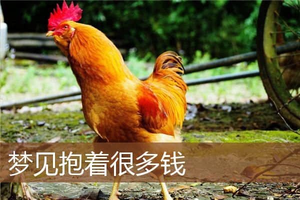 梦见抱着很多钱是什么意思