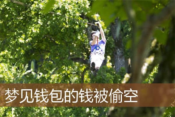 梦见钱包的钱被偷空是什么意思