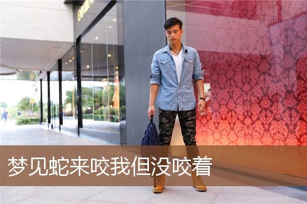 梦见蛇来咬我但没咬着是什么意思