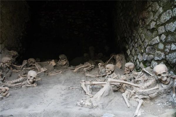 梦见很多尸体是什么意思