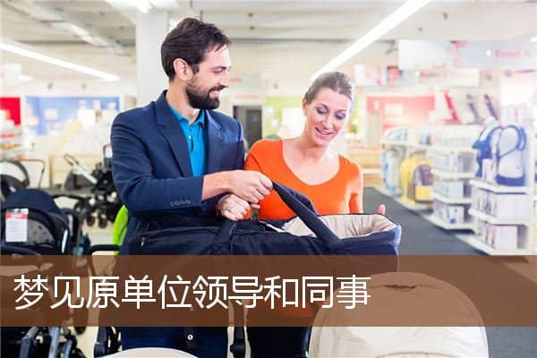 梦见原单位领导和同事是什么意思