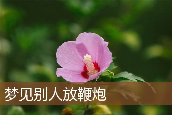 梦见别人放鞭炮是什么意思