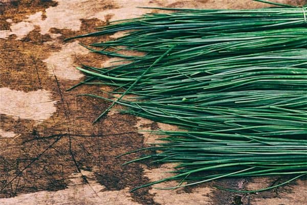 梦见绿油油的韭菜是什么意思