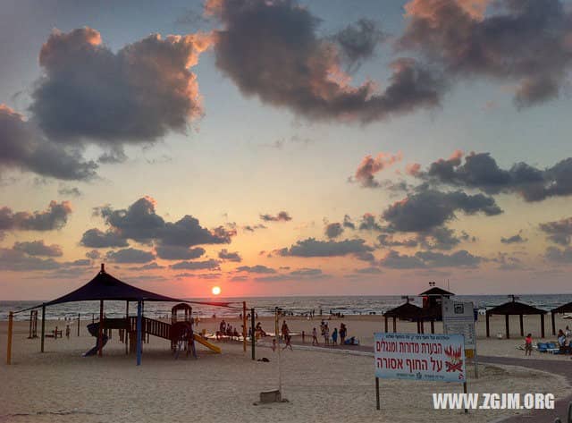 梦见好多蚂蟥吸在身上是什么意思