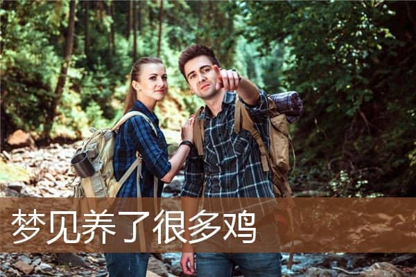 梦见养了很多鸡是什么意思