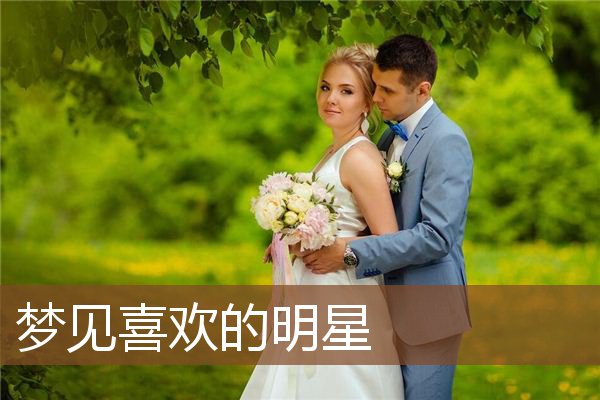 梦见喜欢的明星是什么意思