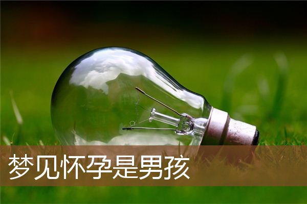 梦见怀孕是男孩是什么意思