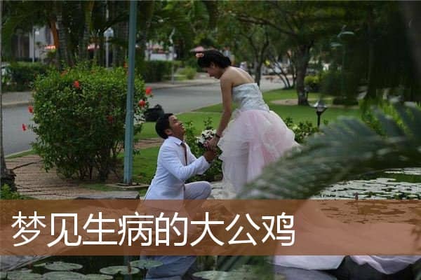 梦见生病的大公鸡是什么意思
