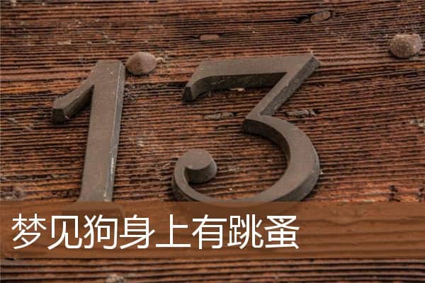 梦见狗身上有跳蚤是什么意思