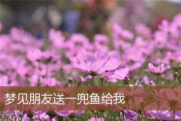 梦见朋友送一兜鱼给我是什么意思
