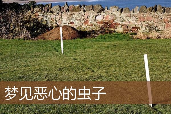 梦见恶心的虫子是什么意思