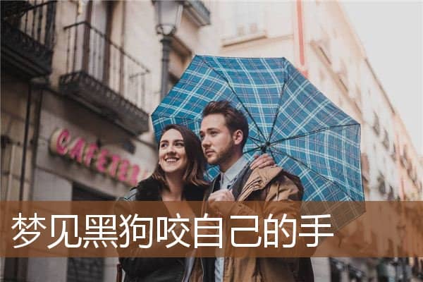 黑狗咬自己的手