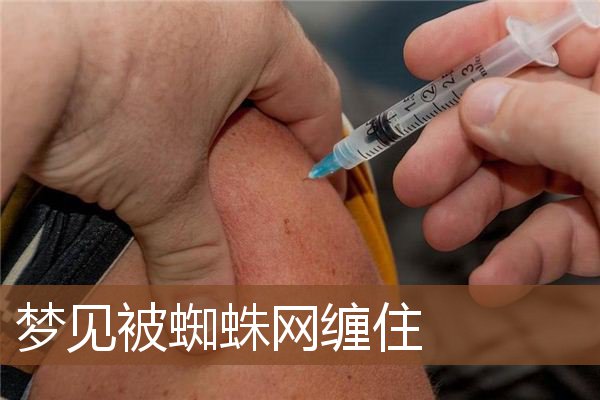 梦见被蜘蛛网缠住是什么意思