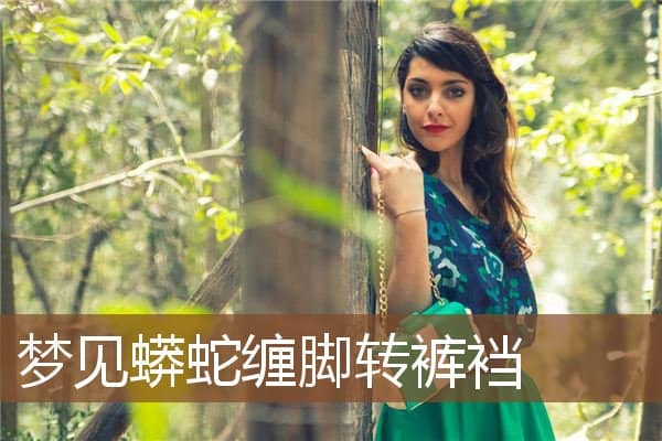 梦见蟒蛇缠脚转裤裆是什么意思