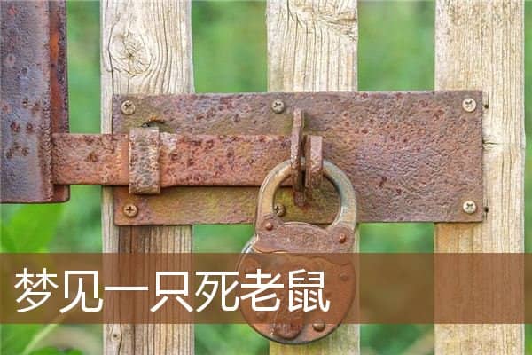 梦见一只死老鼠是什么意思