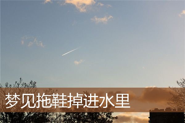 梦见拖鞋掉进水里是什么意思