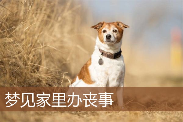 梦见家里办丧事是什么意思