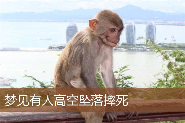 梦见有人高空坠落摔死是什么意思