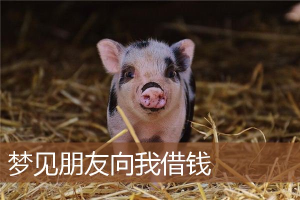 梦见朋友向我借钱是什么意思