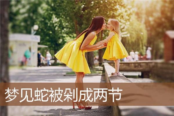 梦见蛇被剁成两节是什么意思