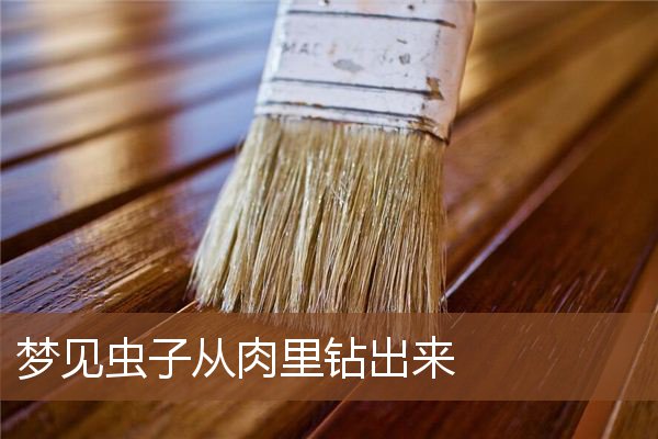 梦见虫子从肉里钻出来是什么意思