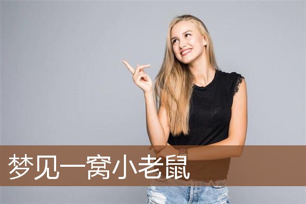 梦见一窝小老鼠是什么意思