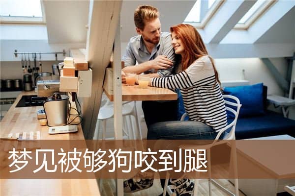 梦见被够狗咬到腿是什么意思