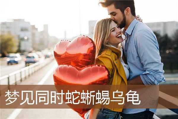 梦见同时蛇蜥蜴乌龟是什么意思