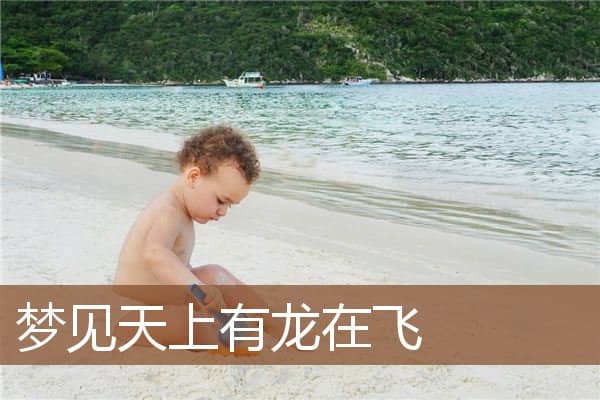 梦见天上有龙在飞是什么意思