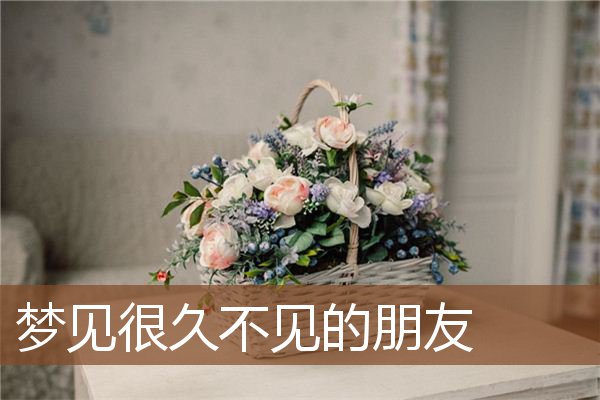 很久不见的朋友