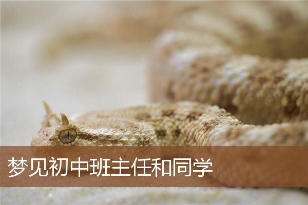 梦见初中班主任和同学是什么意思