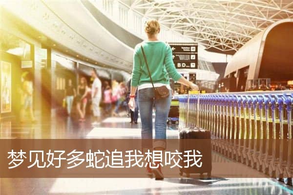 梦见好多蛇追我想咬我是什么意思