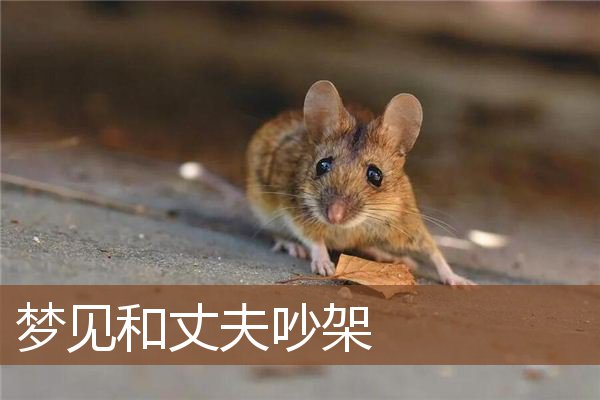 梦见和丈夫吵架是什么意思