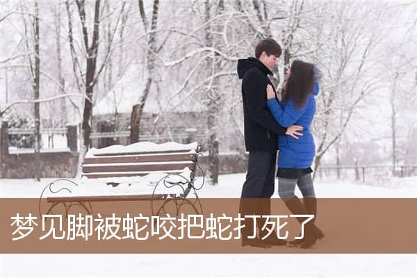 梦见脚被蛇咬把蛇打死了是什么意思