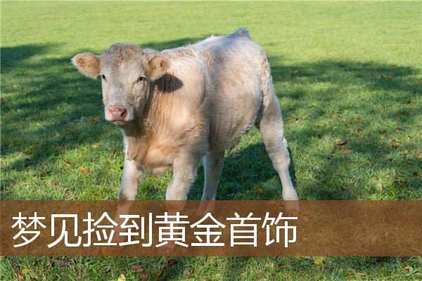 梦见捡到黄金首饰是什么意思