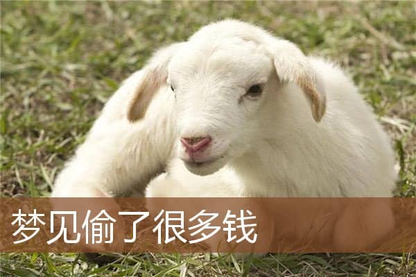 梦见偷了很多钱是什么意思