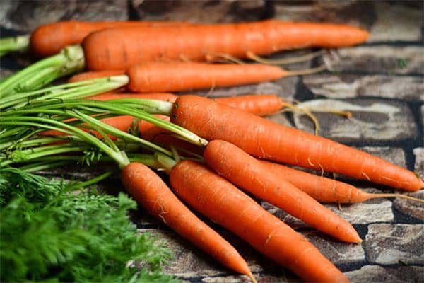 梦见吃红萝卜是什么意思